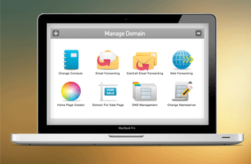 Domain Name Control
